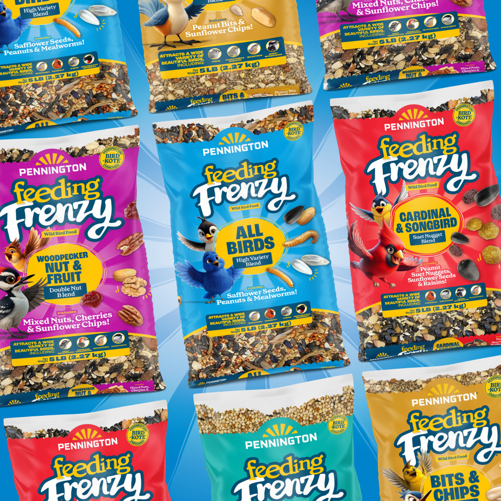 100552128-pennington-feeding-frenzy-all-birds-high-variety-blend-wild-bird-food-10-pounds-11