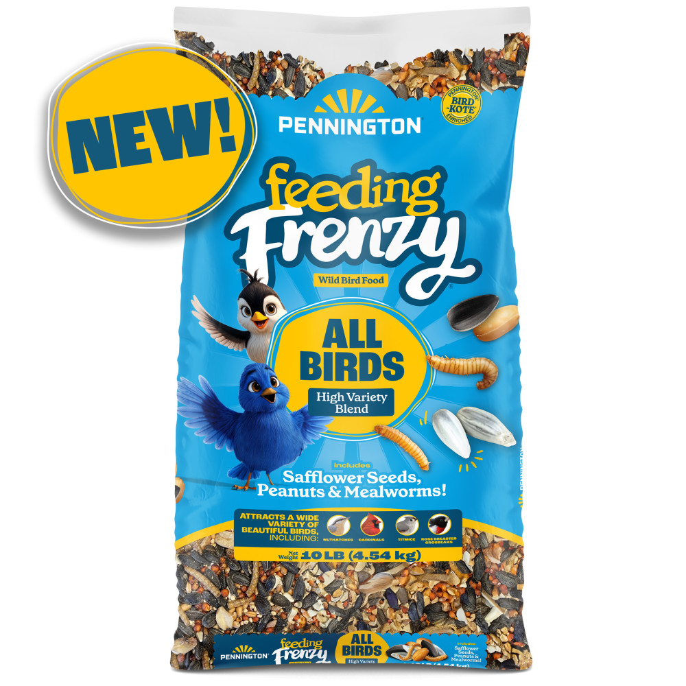 feeding-frenzy-all-birds-high-variety-blend-wild-bird-food-10-lb-3