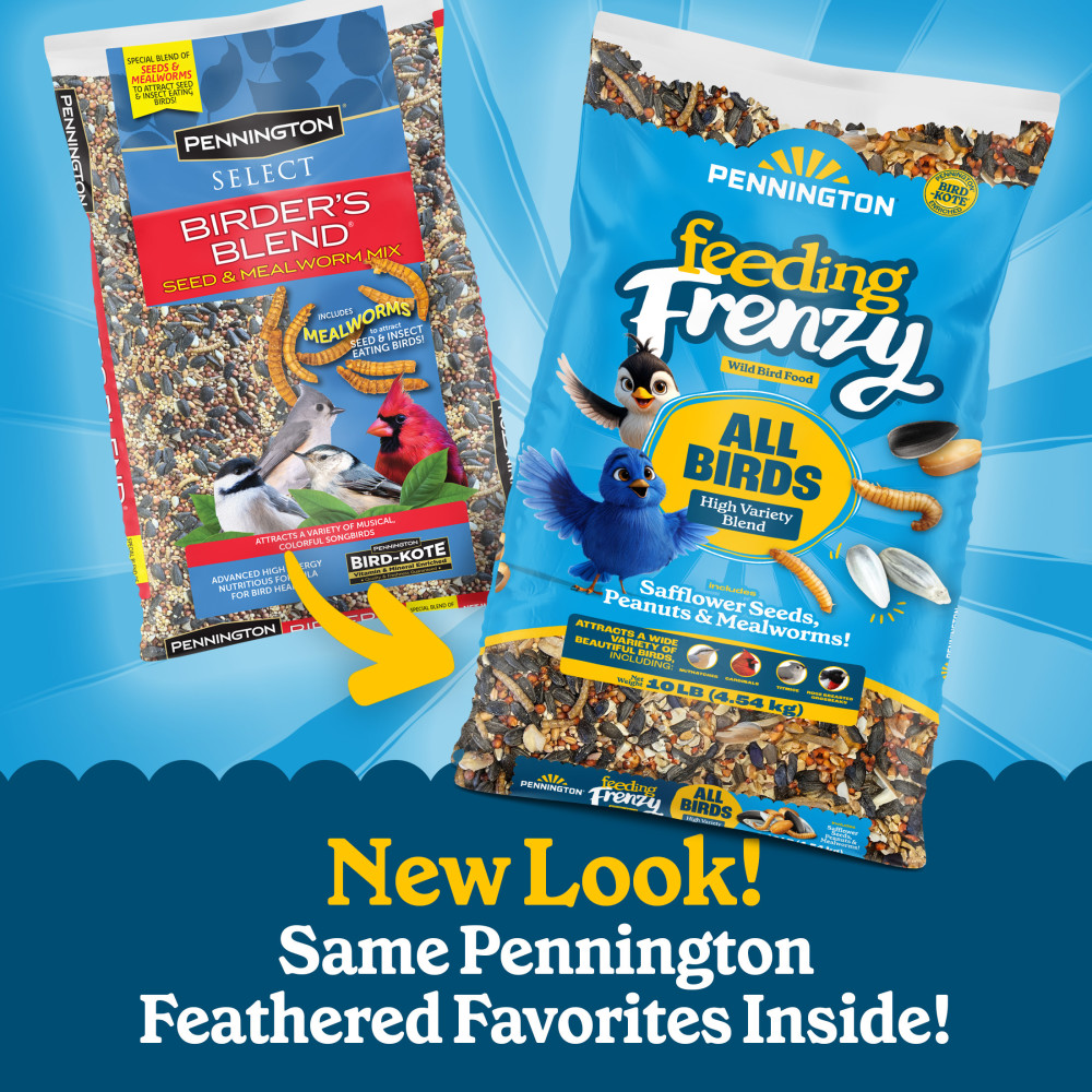 100552128-pennington-feeding-frenzy-all-birds-high-variety-blend-wild-bird-food-10-pounds-4