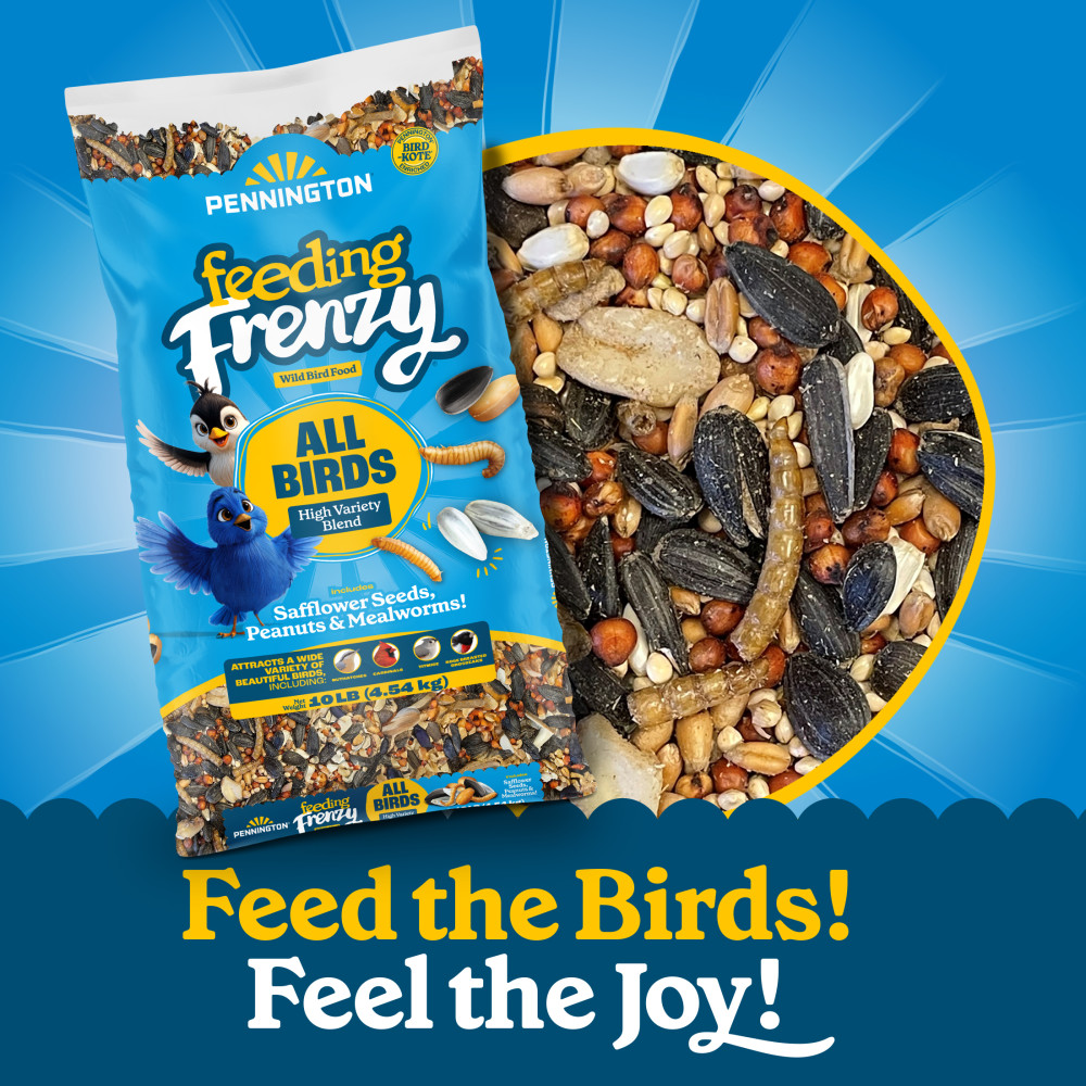 100552128-pennington-feeding-frenzy-all-birds-high-variety-blend-wild-bird-food-10-pounds-5