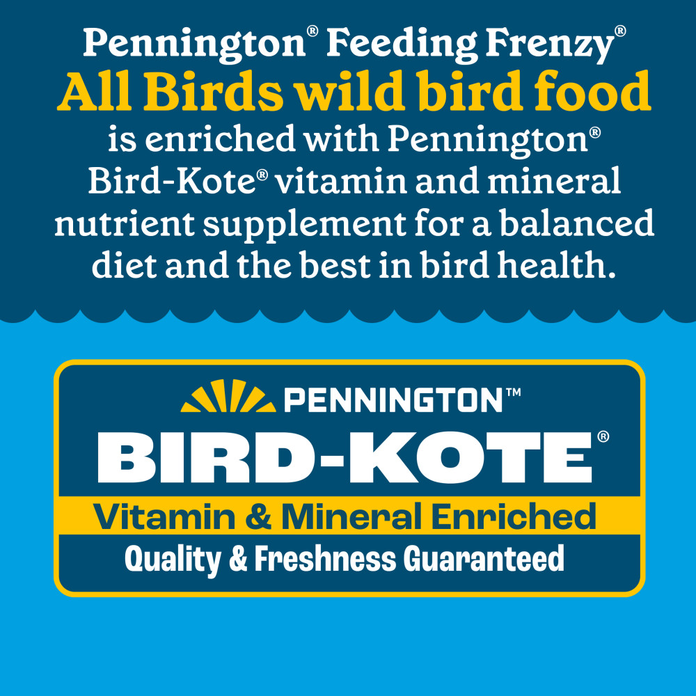 100552128-pennington-feeding-frenzy-all-birds-high-variety-blend-wild-bird-food-10-pounds-9