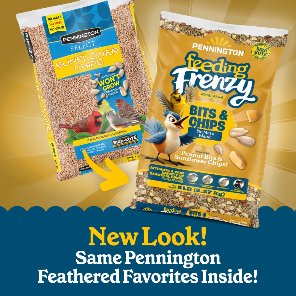 100552166-pennington-feeding-frenzy-bits-_-chips-no-mess-blend-wild-bird-food-5-pounds-4
