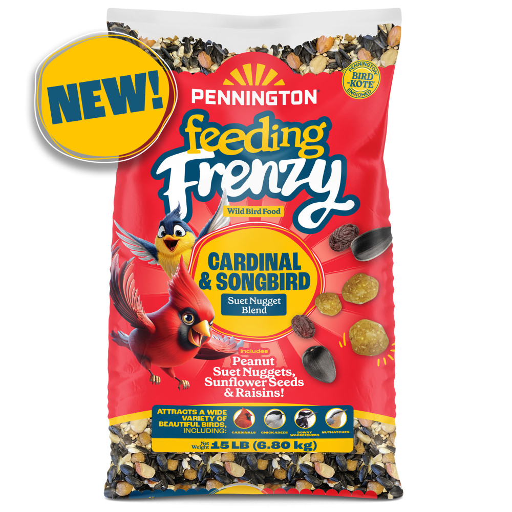 100552171penningtonfeedingfrenzycardinalsongbirdsuetnuggetblendwildbirdfood15poundsminibin3
