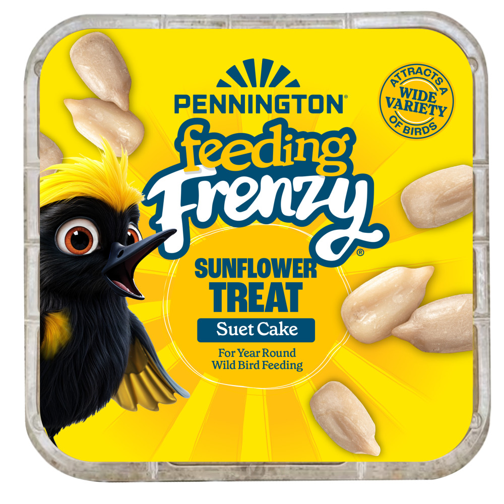 feeding-frenzy-sunflower-treat-suet-cake-11-oz-alt-1