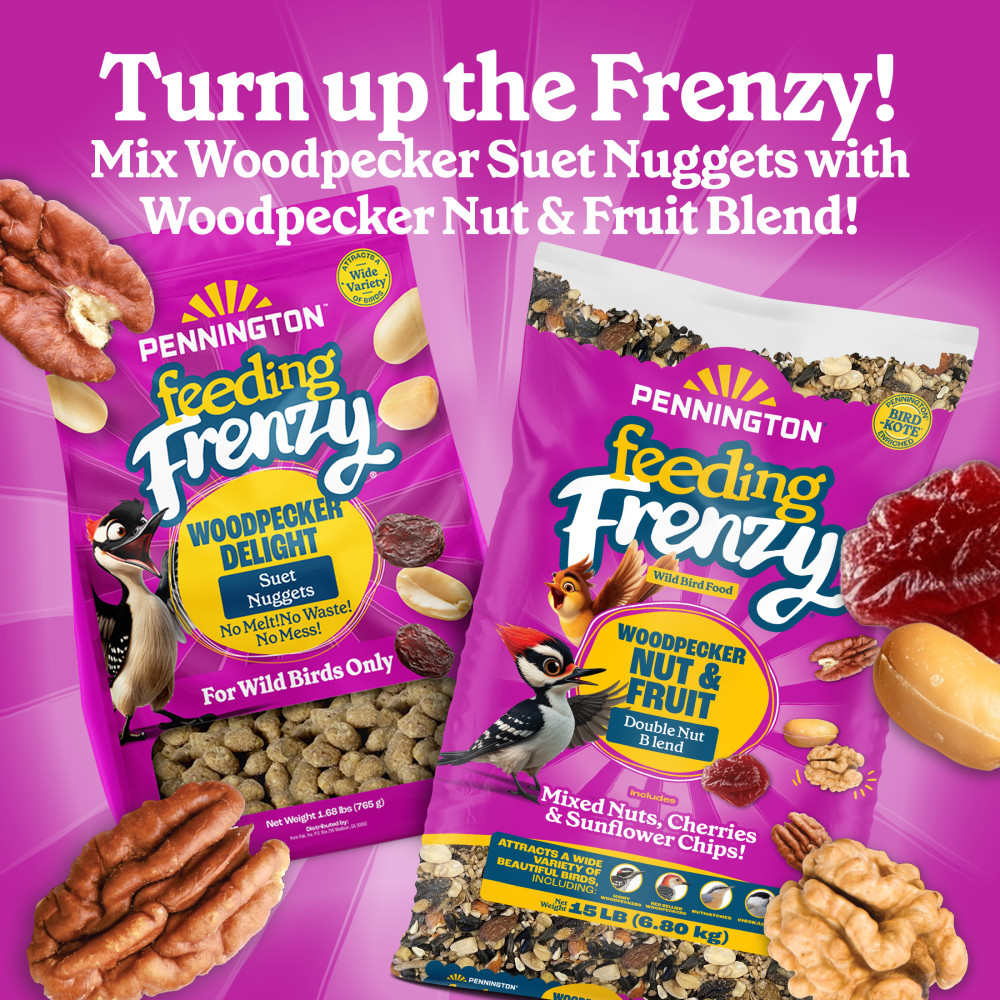100551940-pennington-feeding-frenzy-woodpecker-suet-nuggets-27-ounce-10