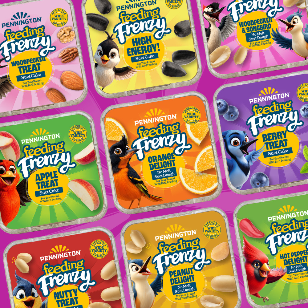 100551940-pennington-feeding-frenzy-woodpecker-suet-nuggets-27-ounce-12