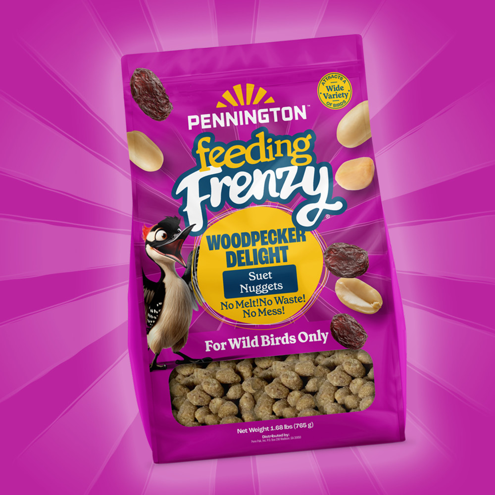 100551940-pennington-feeding-frenzy-woodpecker-suet-nuggets-27-ounce-13