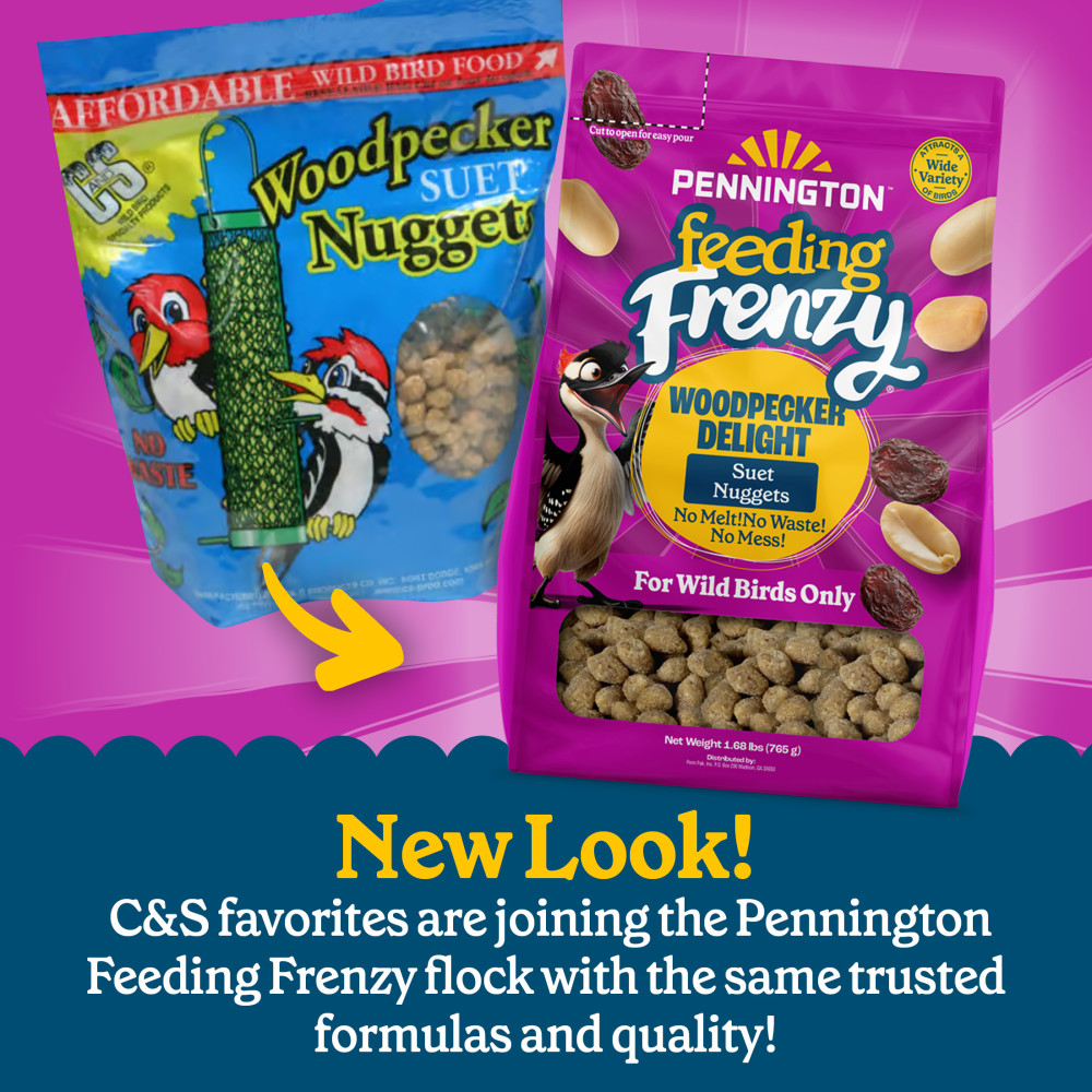 100551940-pennington-feeding-frenzy-woodpecker-suet-nuggets-27-ounce-2