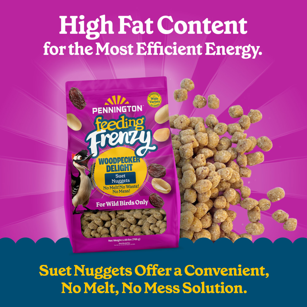 100551940-pennington-feeding-frenzy-woodpecker-suet-nuggets-27-ounce-3