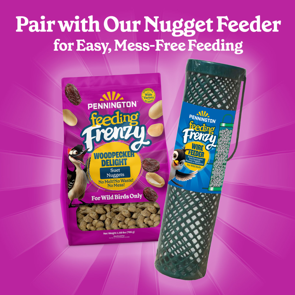 100551940-pennington-feeding-frenzy-woodpecker-suet-nuggets-27-ounce-9