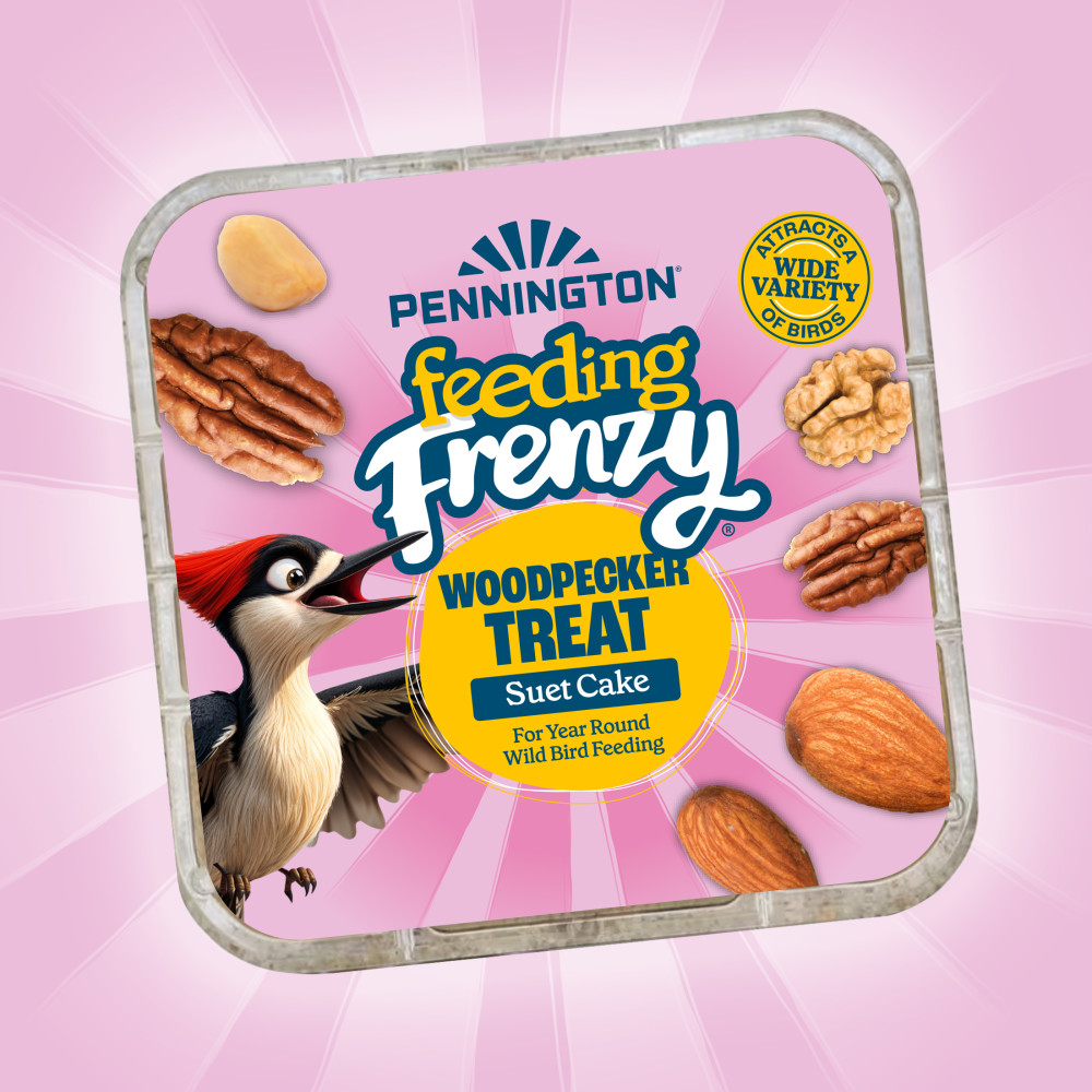Pennington Feeding Frenzy Woodpecker Treat Suet Cake 11 oz
