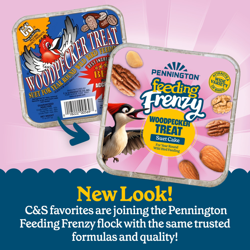 Pennington Feeding Frenzy Woodpecker Treat Suet Cake 11 oz