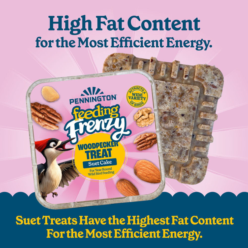 Pennington Feeding Frenzy Woodpecker Treat Suet Cake 11 oz