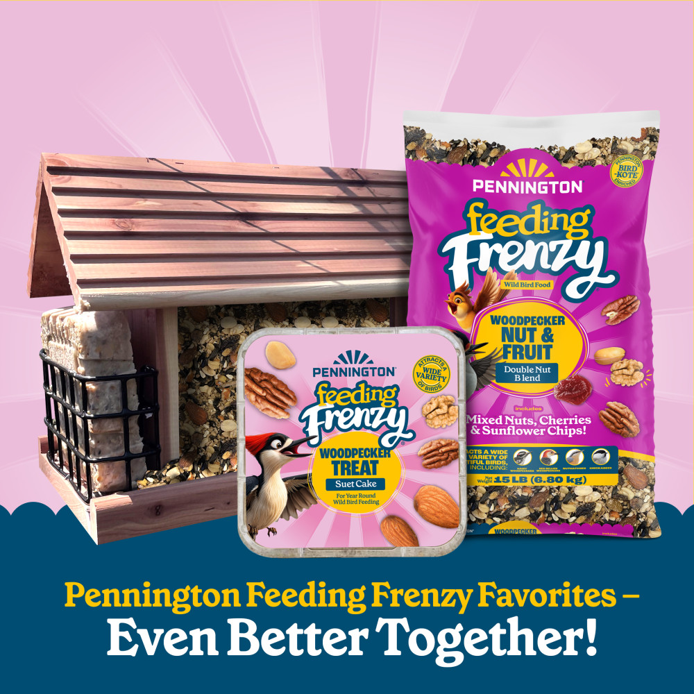 Pennington Feeding Frenzy Woodpecker Treat Suet Cake 11 oz