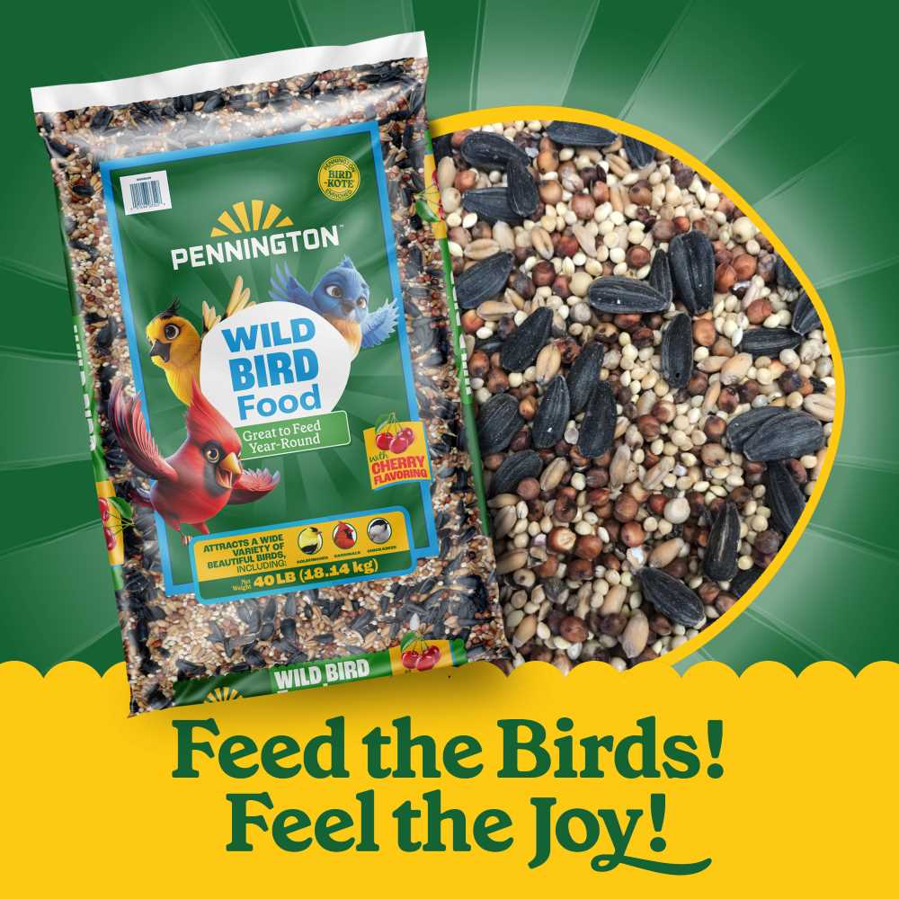 pennington wild bird food cherry flavor