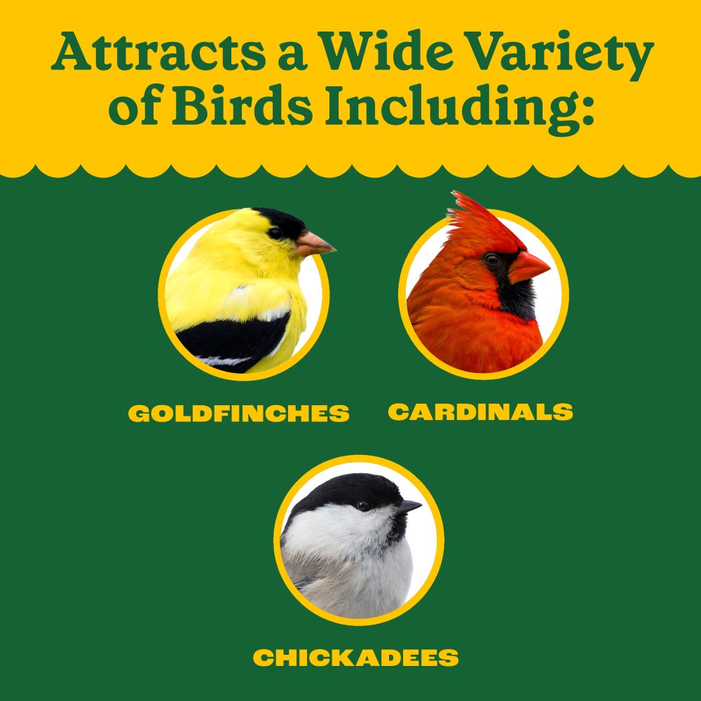 pennington wild bird food cherry flavor