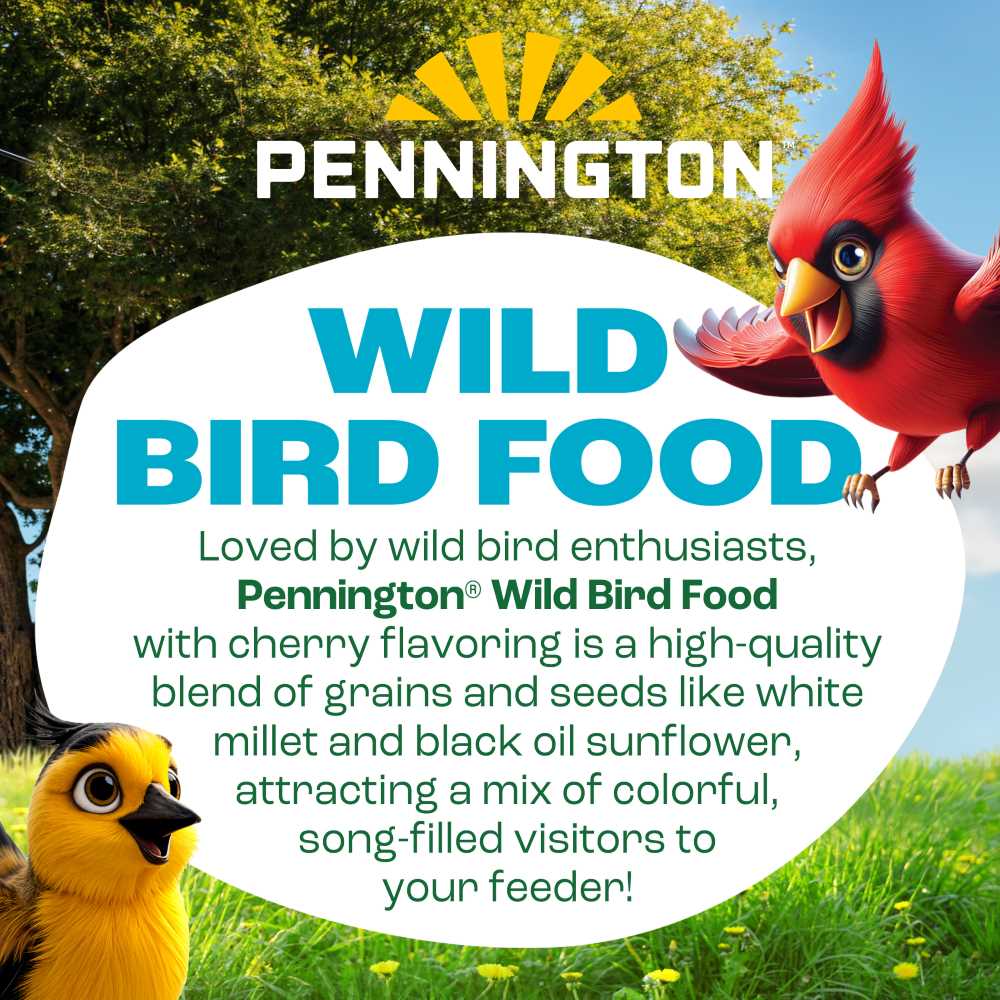 pennington wild bird food cherry flavor