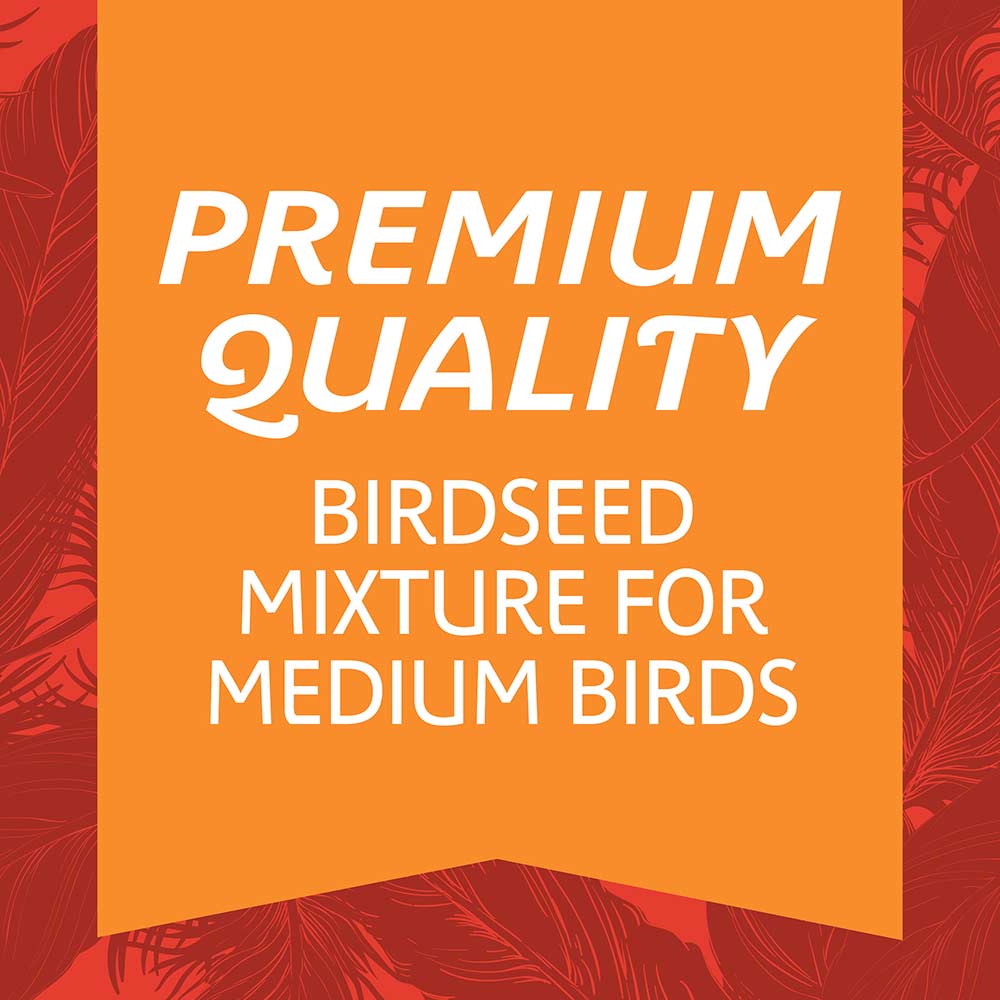 medium-bird-blend-3lbs-4
