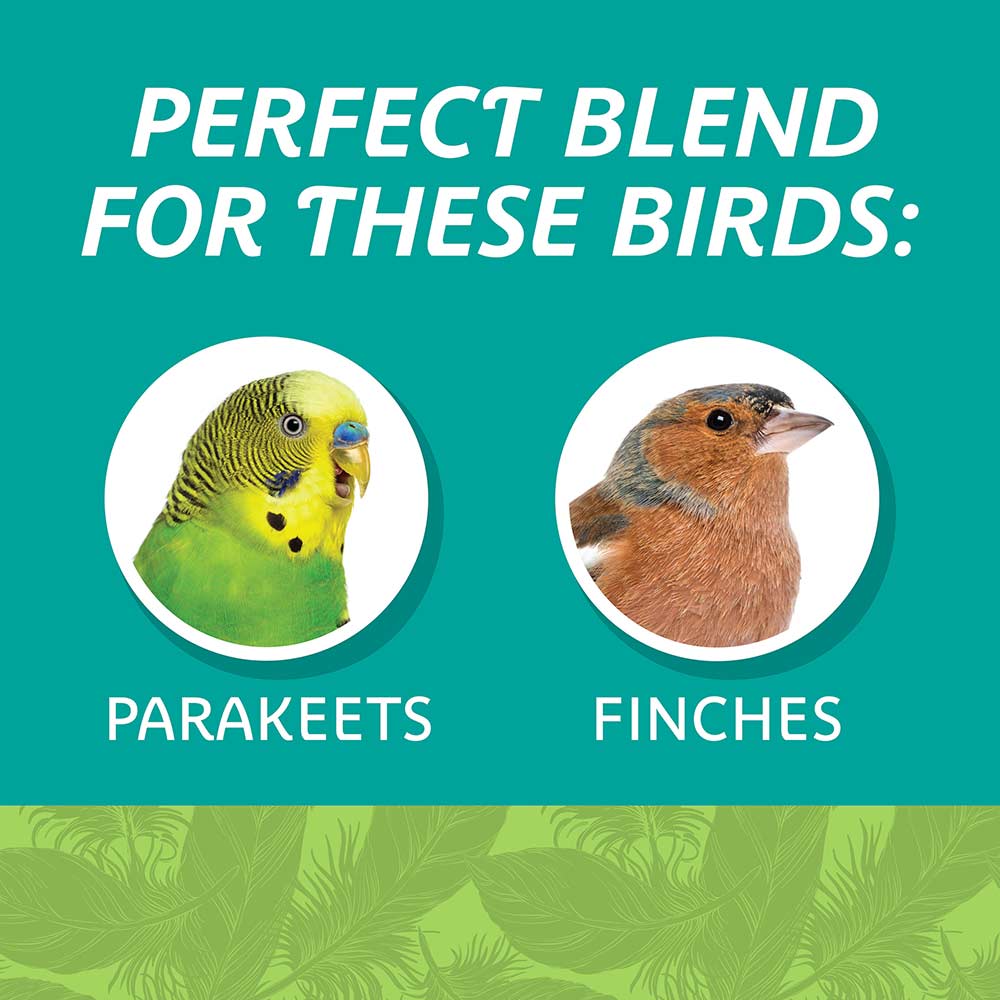 small-bird-blend-3lbs-5