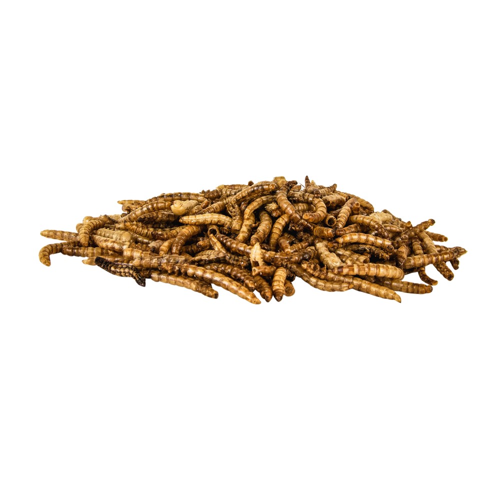 pennington select mealworms