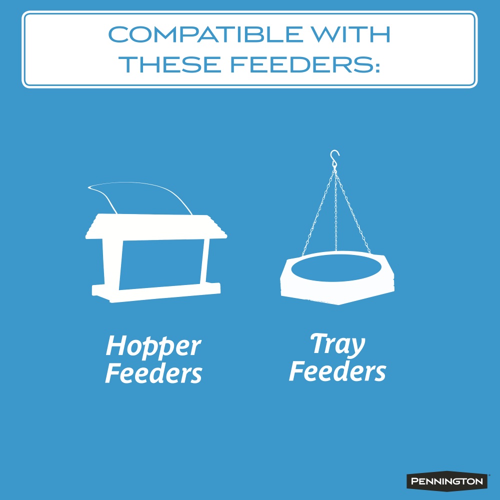 pennington select mealworms