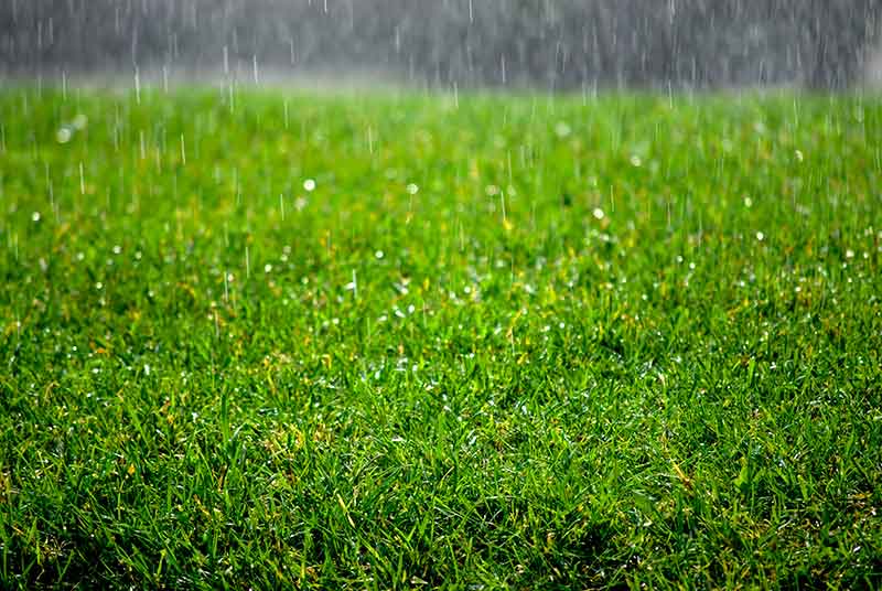 benefits of applying lime