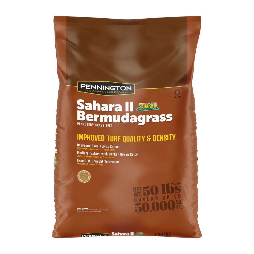 Sahara II - Forage Seed | Pennington