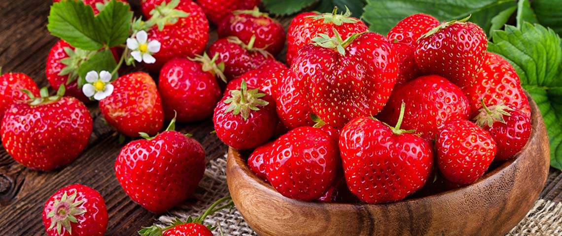 Growing Strawberries in the Home Garden