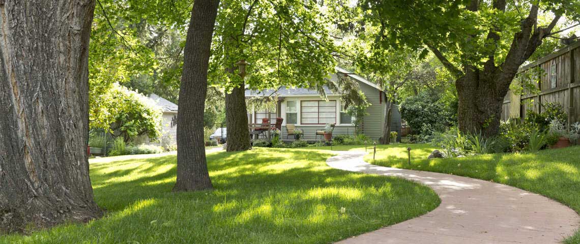 Best grass hot sale for shaded area