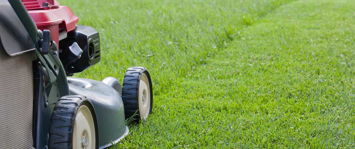 Commercial Lawn Mowing Brentwood