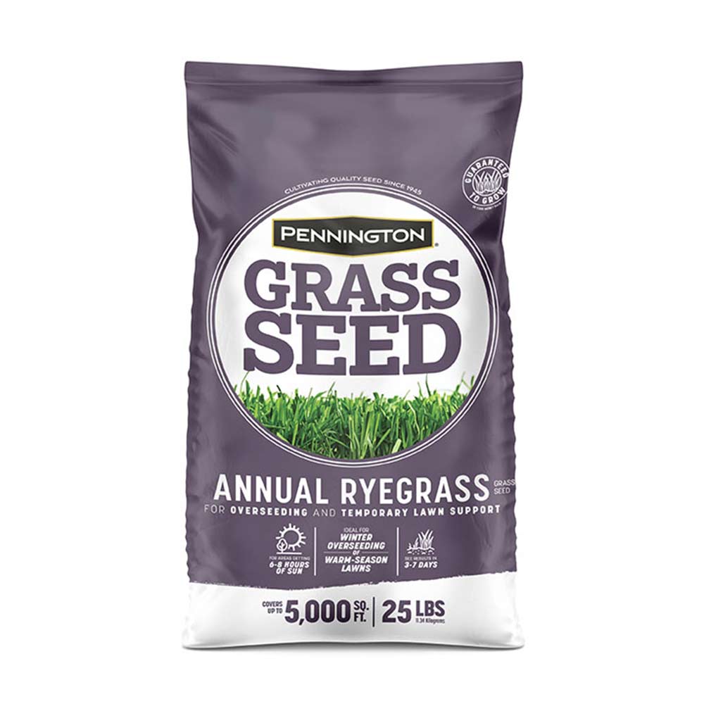 Annual Ryegrass Grass Seed Pennington