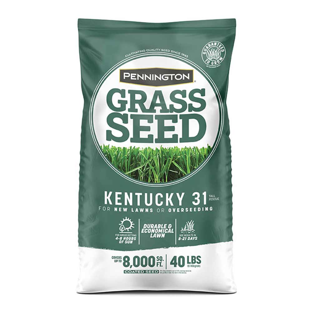 Pennington Kentucky 31 Tall Fescue Grass Sun or Shade Grass Seed 40 lb