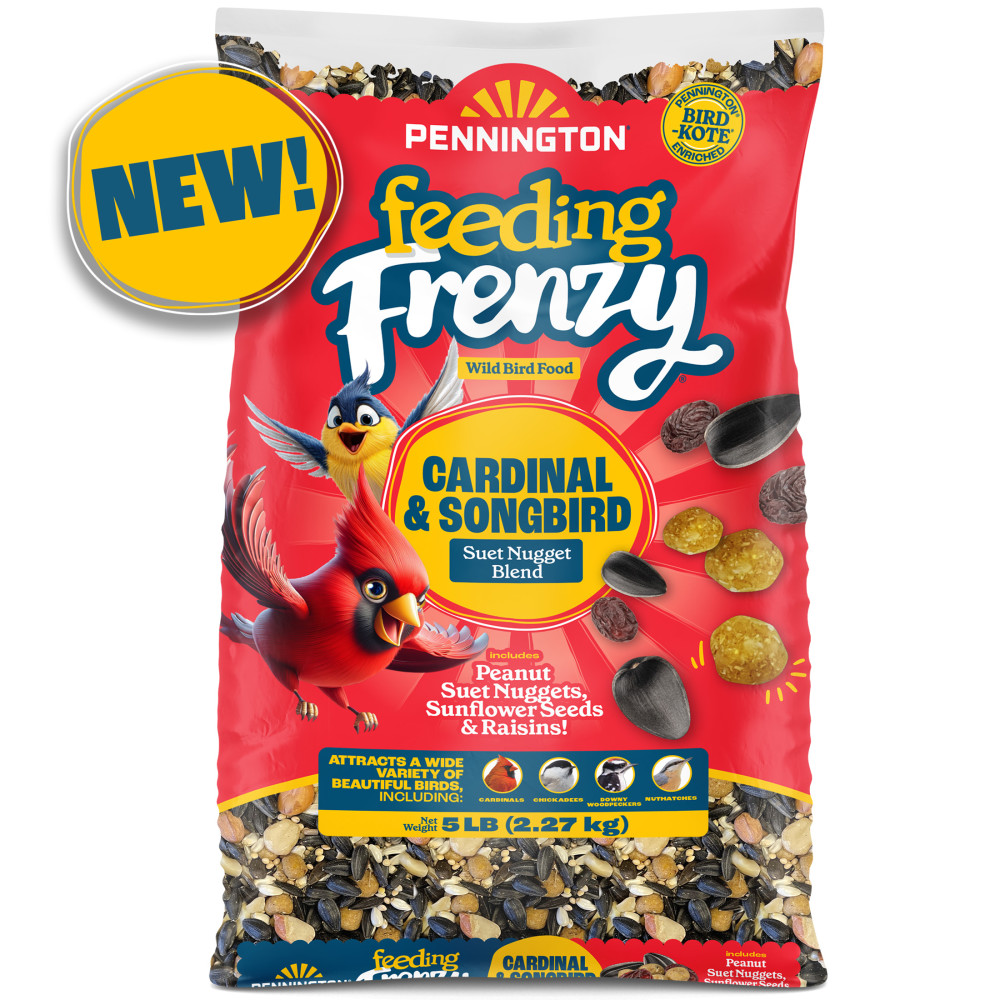 pennington-feeding-frenzy-