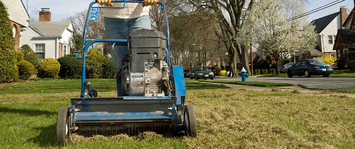 when to detox your lawn