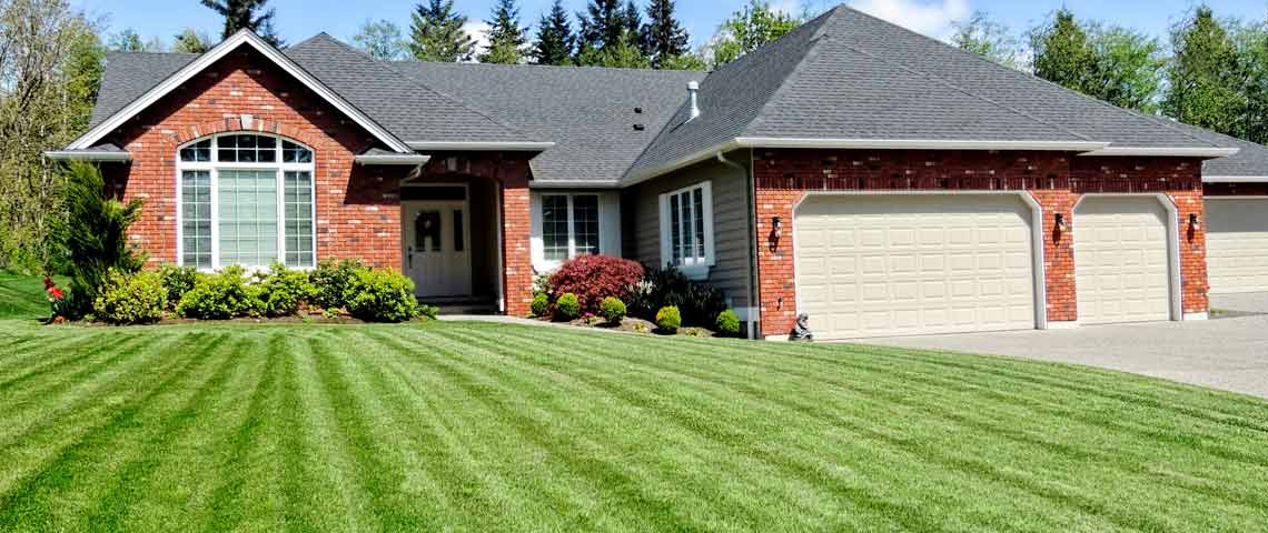 fall: a viable time for lawn restart