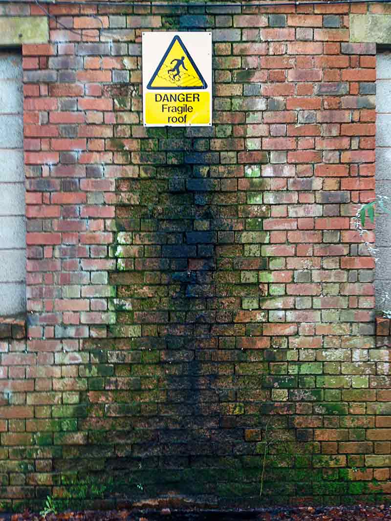 Unchecked structural moss and structural damage go hand in hand.