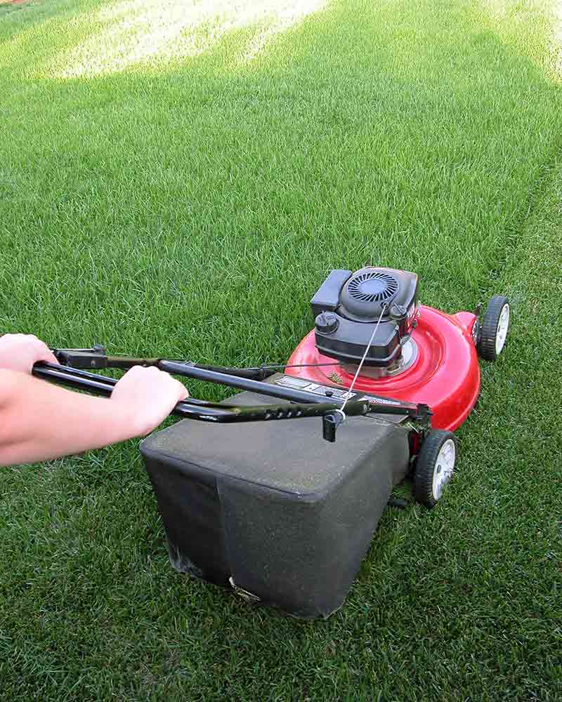 step-by-step guide to seeding your lawn