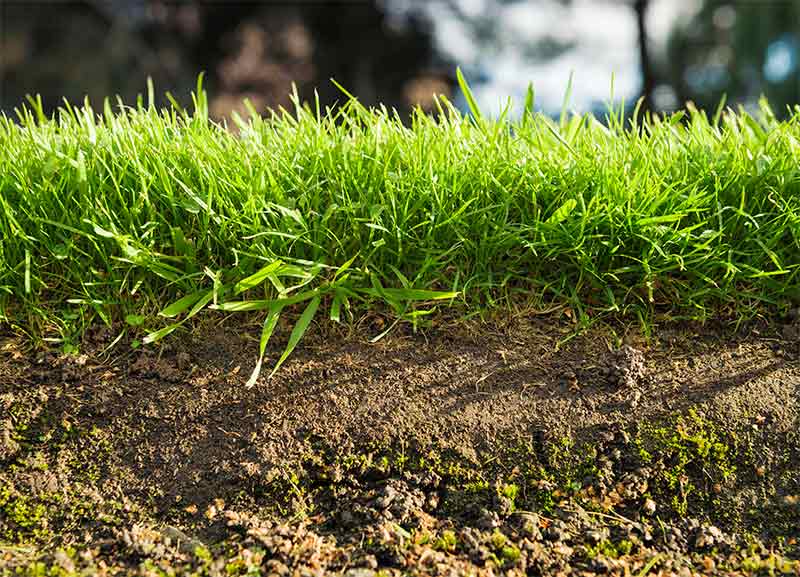 how to conduct a soil test