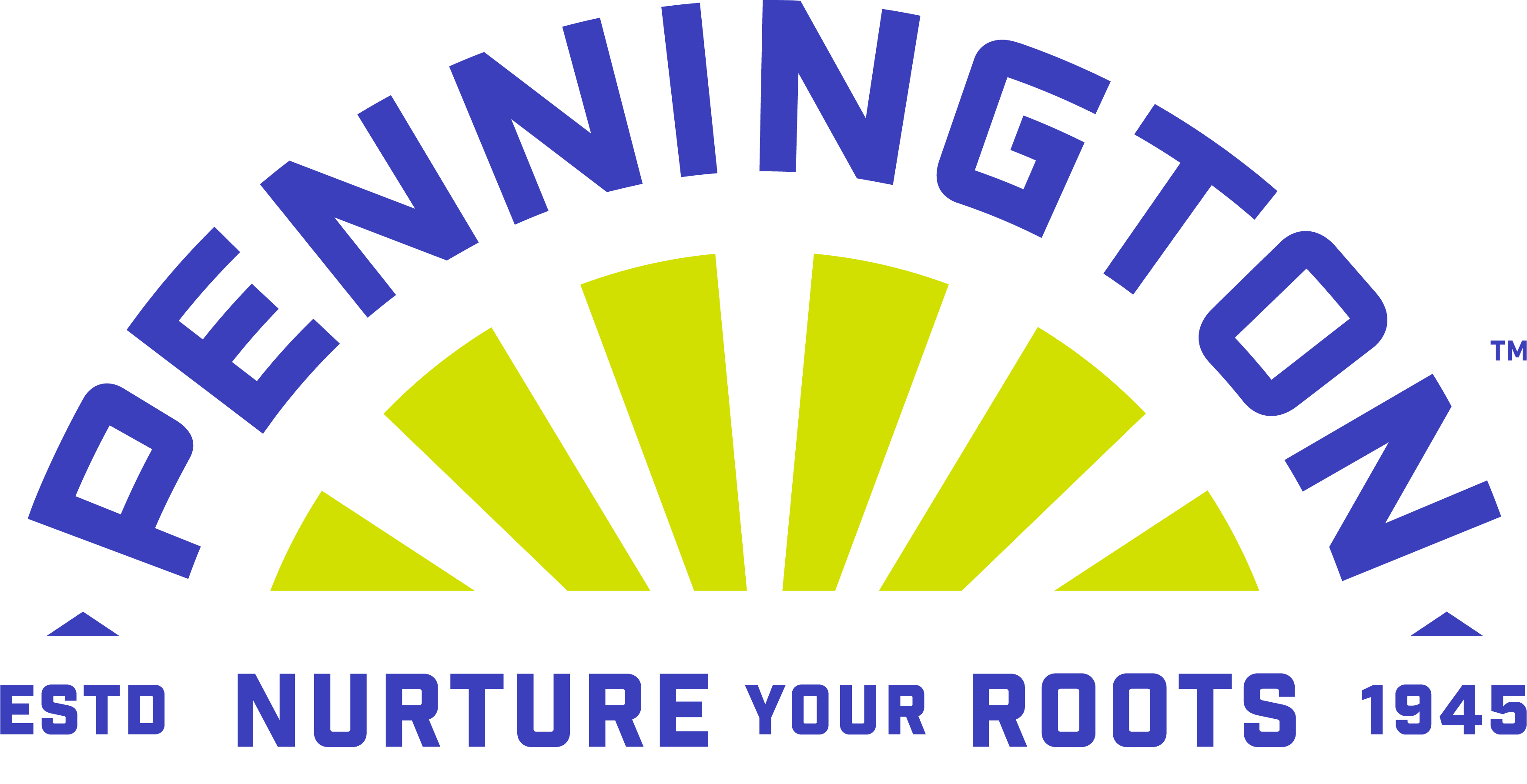 Pennington_Primary_Color_ Logo